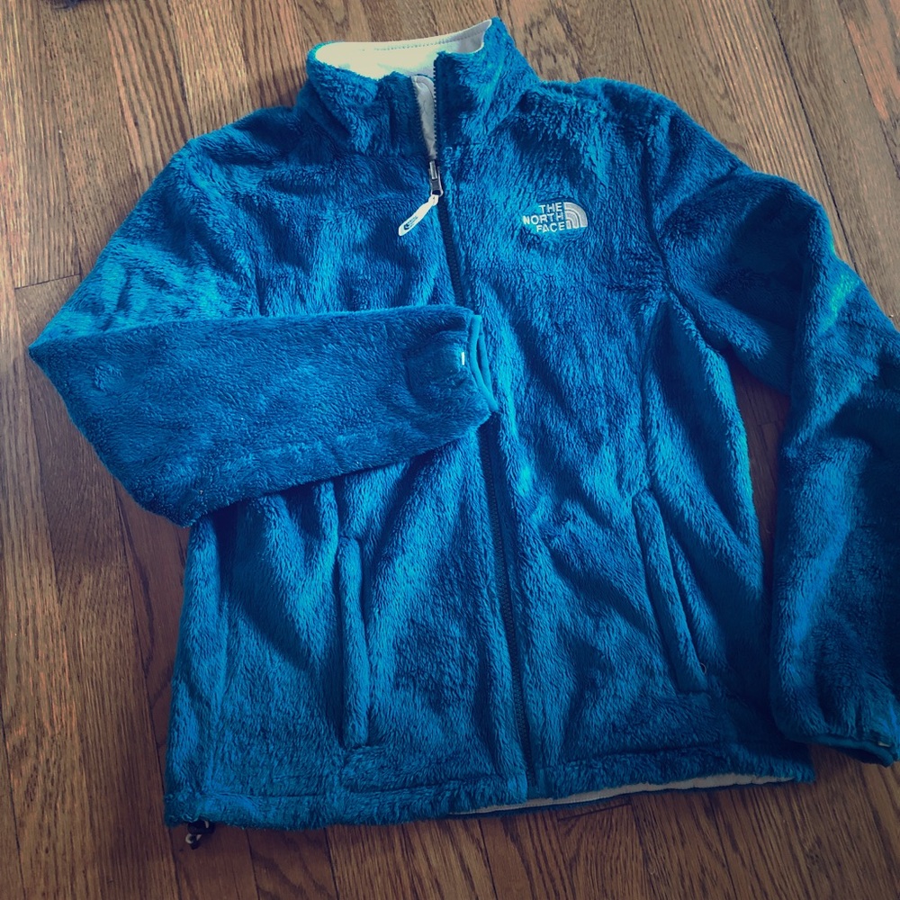 The North Face blue jacket